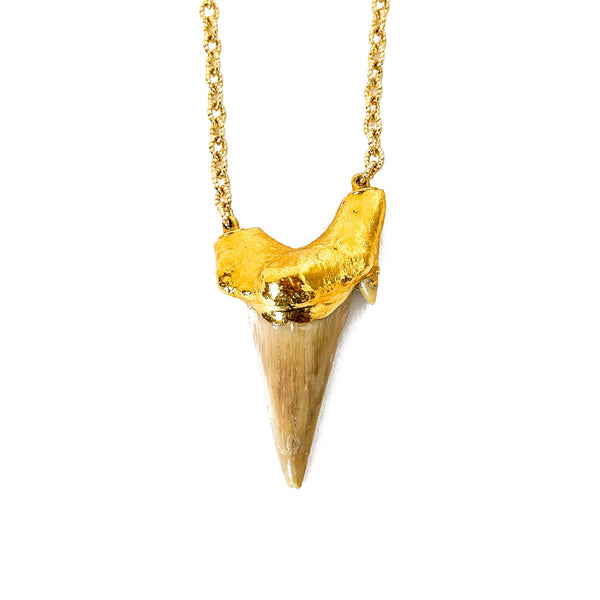 Neiman • Sharks Tooth on Link Chain, 14k Gold Filled